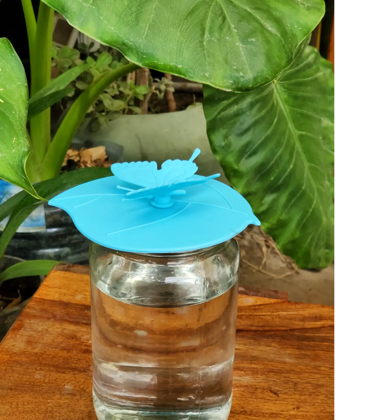 Butterfly Cup cover