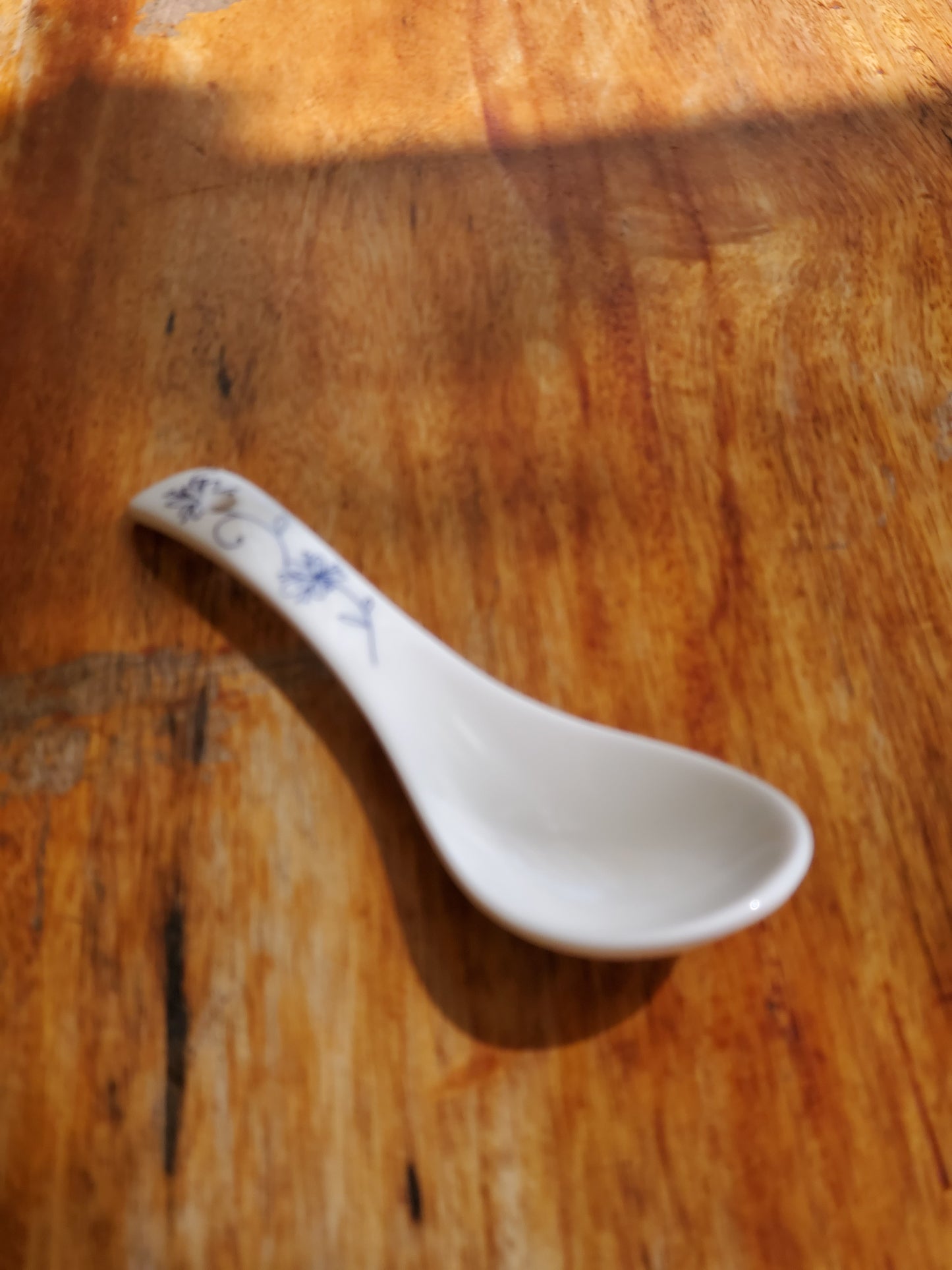 Asia Ceramic Spoon