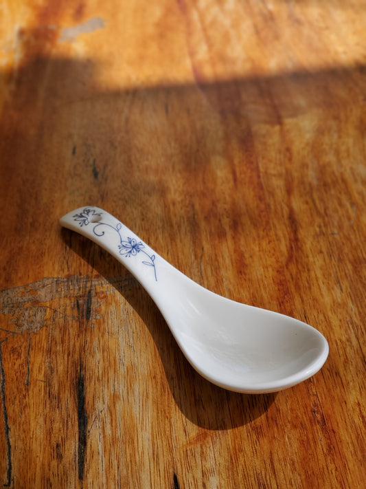 Asia Ceramic Spoon